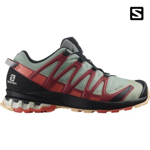 Sapatilhas Trail Running Salomon Xa Pro 3d V8 GTX Feminino Verde Oliva Vermelhas | PT R76014